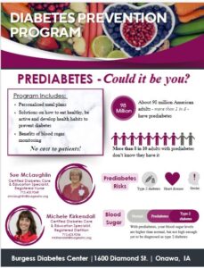 Program Flyer